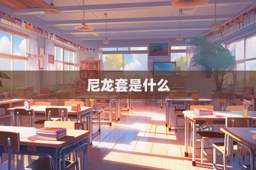 尼龍套是什么