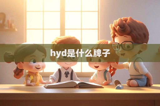 hyd是什么牌子
