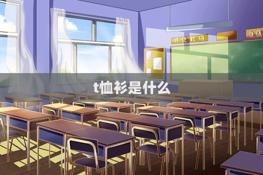 t恤衫是什么