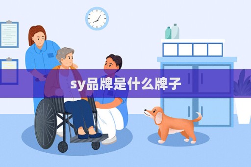 sy品牌是什么牌子