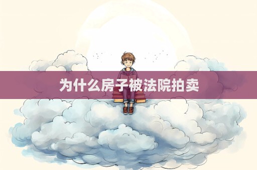 為什么房子被法院拍賣  第1張