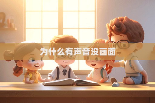 為什么有聲音沒畫面  第1張