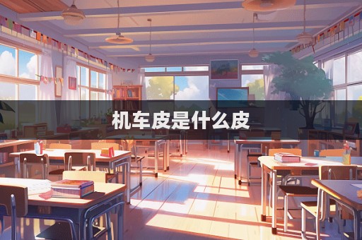 機(jī)車皮是什么皮