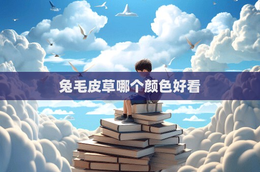 兔毛皮草哪個顏色好看