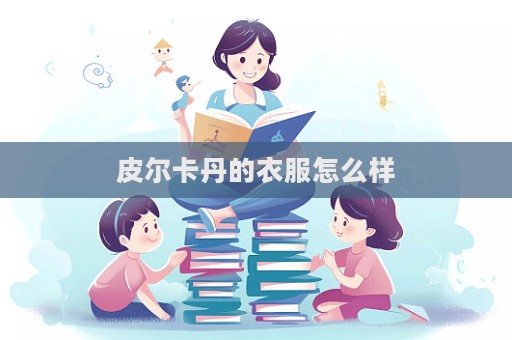 皮爾卡丹的衣服怎么樣